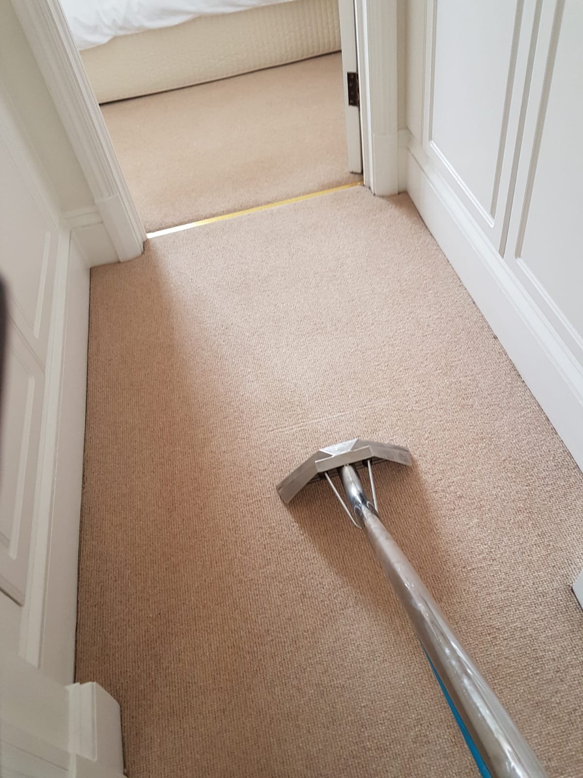 Carpet and Upholstery Cleaning Services